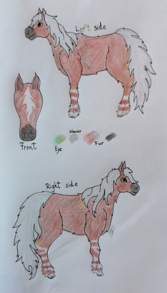 Wild`s Epona