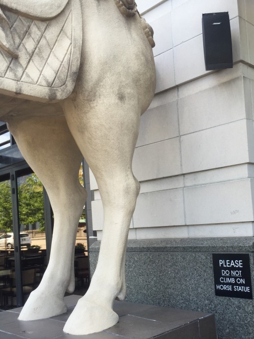 sweetsurrendermm: @sumisa-lily  Thought of you after lunch at PF Changs today xoxo.  ROTFLMFAO @sweetsurrendermm! Clearly I’m not the only one that ever contemplated going for a ride on that big grumpy looking bastard! Can’t stop laughing.