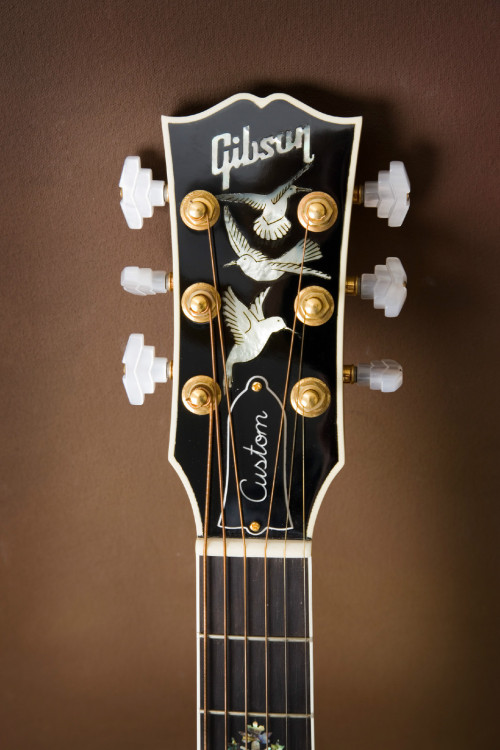 ...........GUITAR:LUST............
