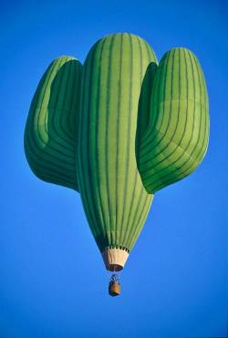 peterschlehmil:  saguaro balloon - ph. by Stuart Spicer 