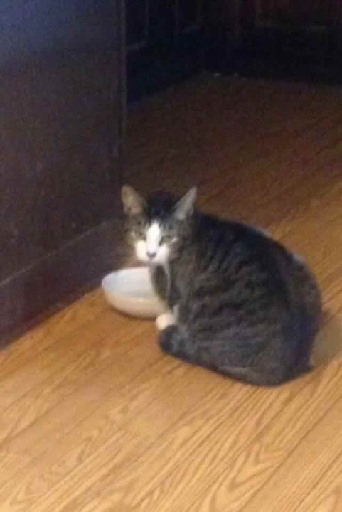 kaijuno:kaijuno:Someone wanted a wasabi pea but I wouldn’t give it to him and he was mad so I gave h