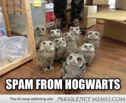 mugglenetmemes:  A wizard’s email inbox.  http://ift.tt/1bSc8N0