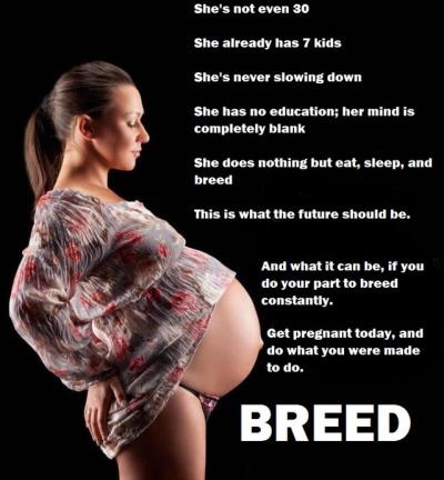 bredtobreed.tumblr.com - Tumbex