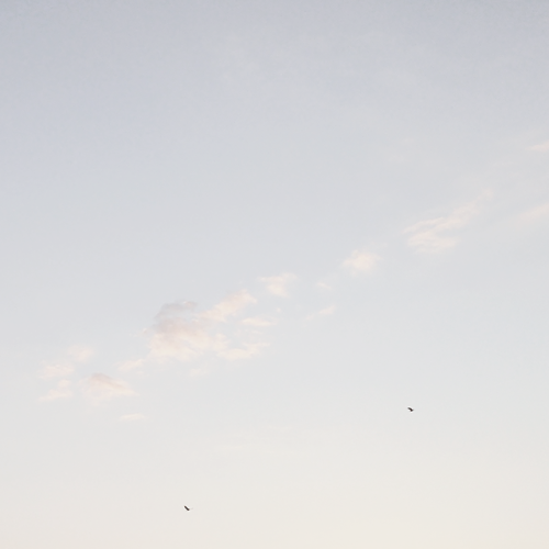 rosedewson:listen to the sunset, see its pretty hue 8:25 p.m. // september 18th