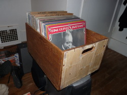 Play-Catside-First:  The Jazz Box Has Been Relocated Up Onto A Pedestal Today.