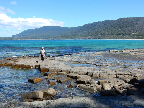earthstory: Tessellated Pavement, Tasmania A thin isthmus of land called Eaglehawk Neck connects the