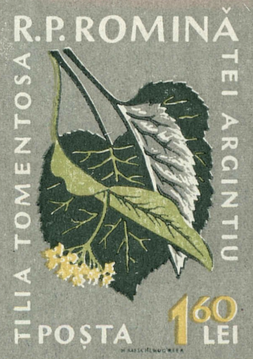 levkerbel:Four stamps from a series on native flora, Romania, 1959