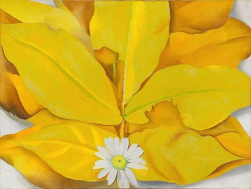 nobrashfestivity:Georgia O'Keeffe, Yellow Hickory Leaves with Daisy, 1928more