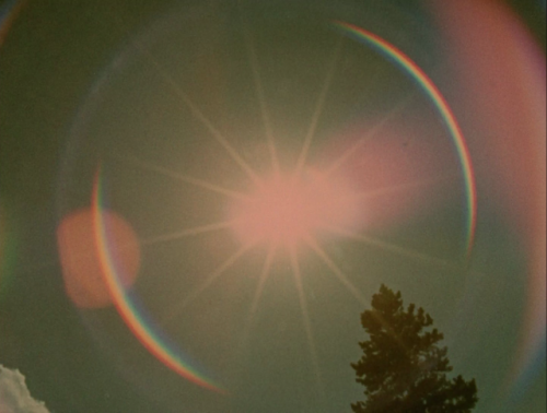 365filmsbyauroranocte:Star Garden (Stan Brakhage, 1974)