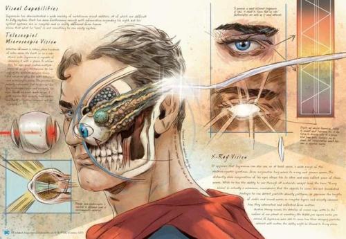 I’m happy to finally announce DC Comics’ ANATOMY OF A METAHUMAN. I spent a year illustrating t