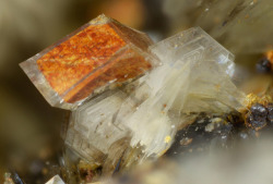 underthescopemineral:   Dolomite, Dickite