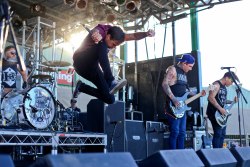 waltloveridge:  The Amity Affliction - Warped Tour - Canberra 