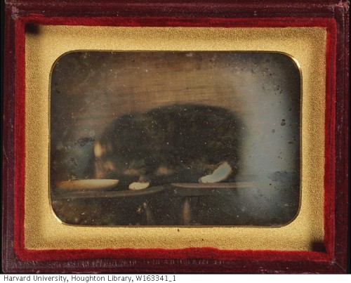 houghtonlib: This daguerreotype (catuerreotype?) dates from around 1840 to 1860–could it be th