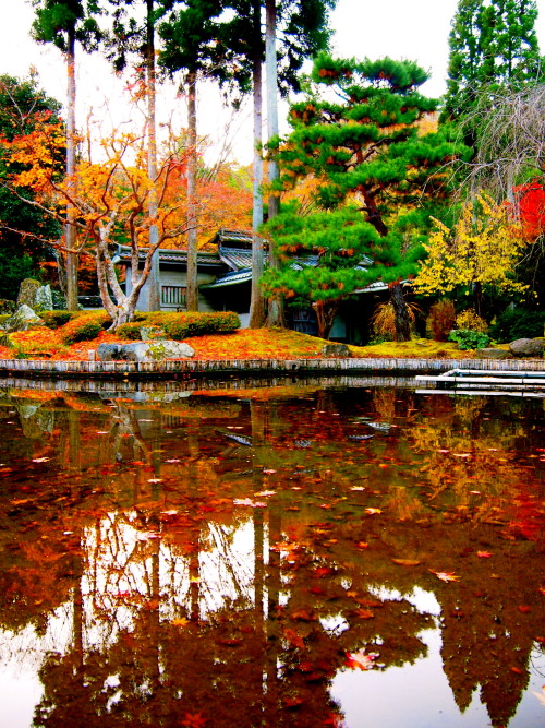 haruminumata:Japanese beauty in nature…and art.