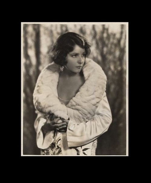 Constance Talmadge Nudes &amp; Noises  