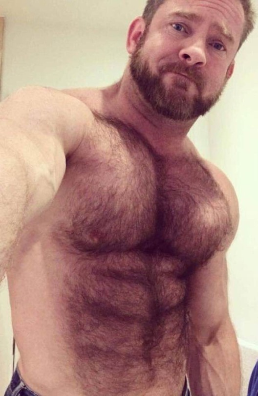 man-and-structure:  lacrapule:    ​dutchferryh