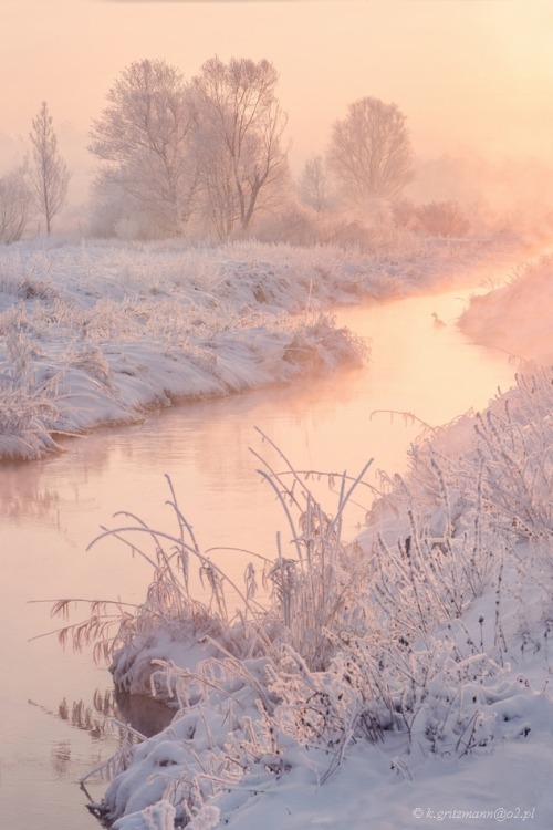 tonakings:magic-spelldust:Snowy Pastel Winter Scenes by Katarzyna GritzmannOH MY GAWD WHERE IS THIS 