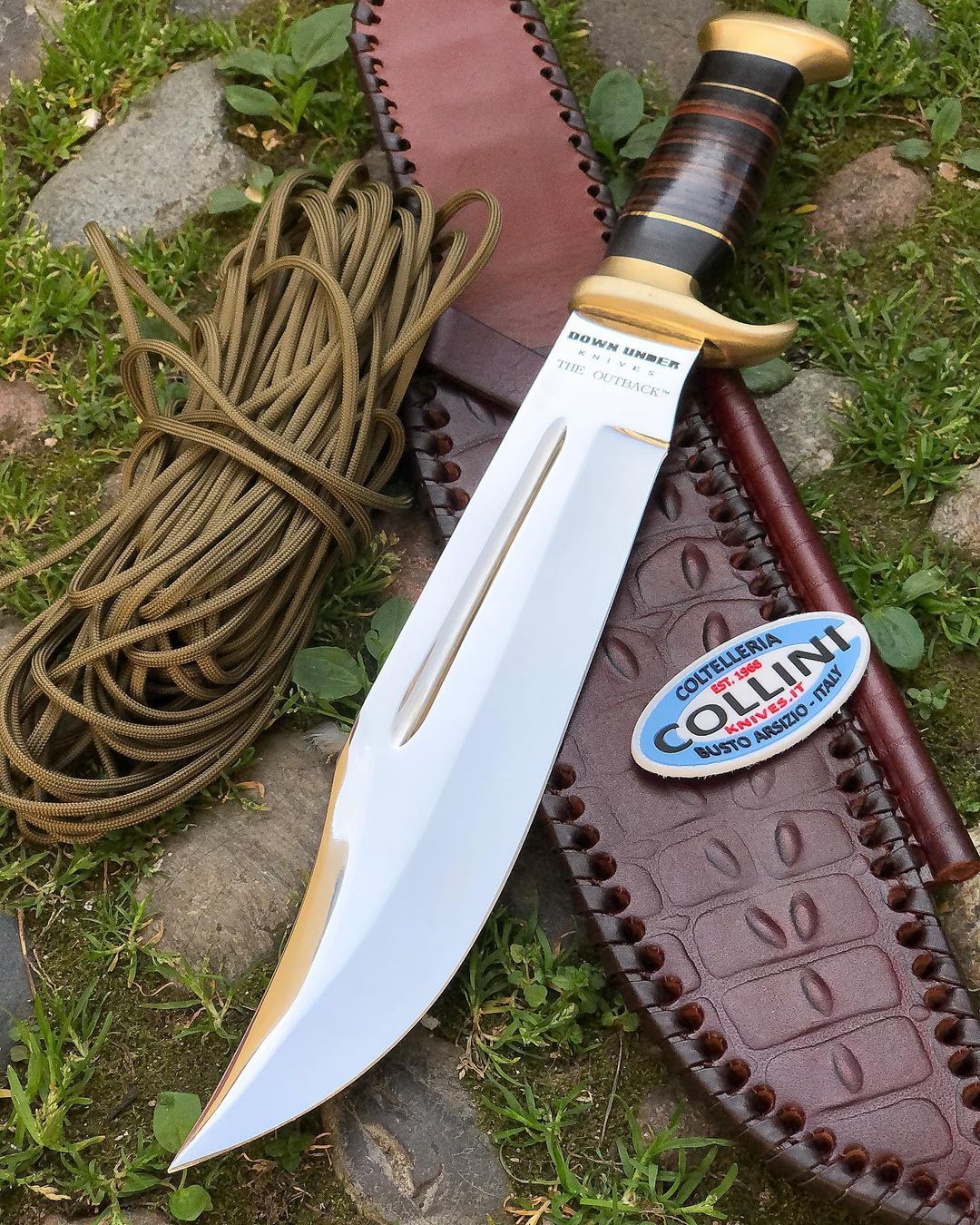 Coltelleria Collini - Big Brother Survival knife 😎 Follow us  👉@coltelleriacollini👈 Order: knives.it -------------------------------  #hunting #hunter #knivesdaily #blades #kabar #intothewild #intothewoods  #hunting #hunt #bushcrafting #knifelife