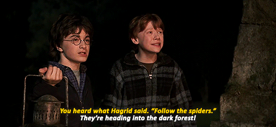 movie-gifs:  Harry Potter and the Chamber of Secrets (2002) dir. Chris Columbus