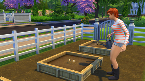 Como ter a Planta-vaca no The Sims 4