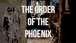 cedricdigory:   HARRY POTTER BOOK CHAPTERS  ↳Order of the Phoenix (part 1)   