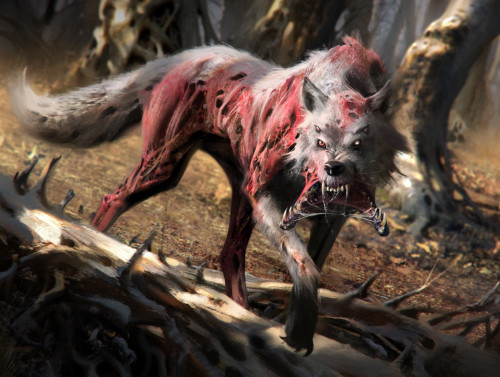 XXX morbidfantasy21:  The Wolf – horror concept photo