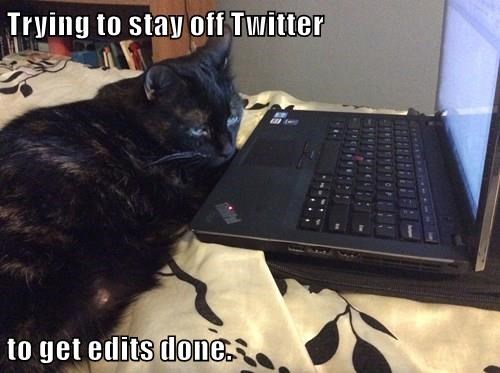 catsofpublishing:
“Marie Cat tries to get her edits done, but the internet, it is distracting.
”