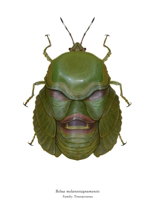 unexplained-events: Project: Arthropoda IconicusSeries: Timorpersonae by Richard Wilkinson  This ser