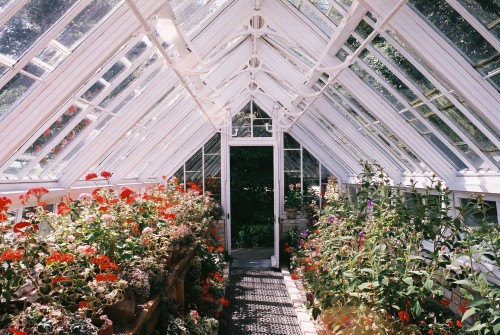 simpleweeks:Green house - Kit Powell