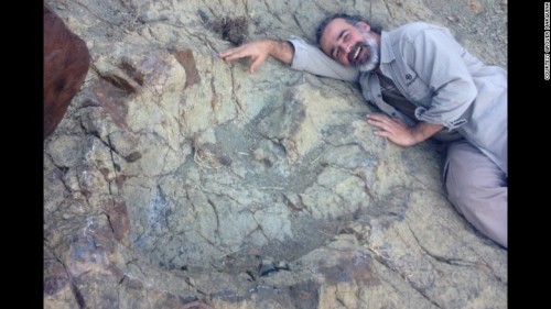 Record breaking footprintA newly discovered dinosaur footprint in Bolivia turned out to be record br