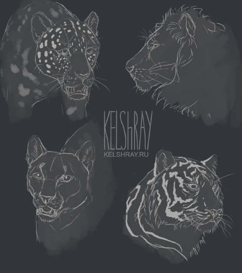 kelshray-art:Practice from photos!————-COMMISSIONS are open