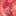 magnoliasandbeardedtooth: nitw: mentions multiple times that mae is round, chubby, fat, ate a lot of donuts the entire nitw fandom:  chubby mae is canon and you’re weak if you draw her like the one above