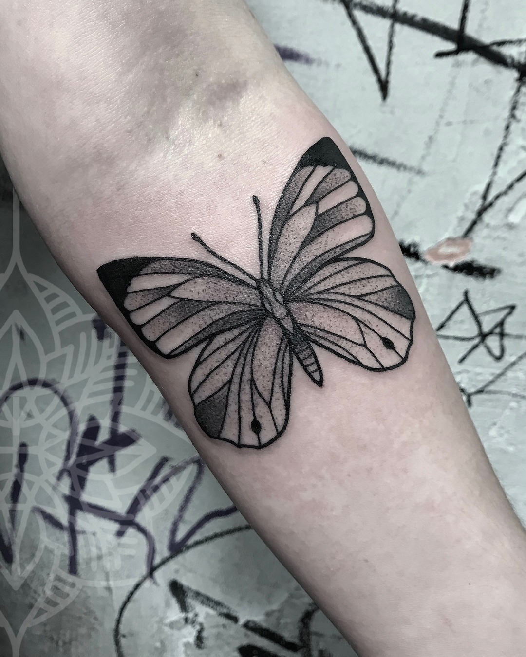  — Butterfly Tattoo Artist: sarah herzdame -...