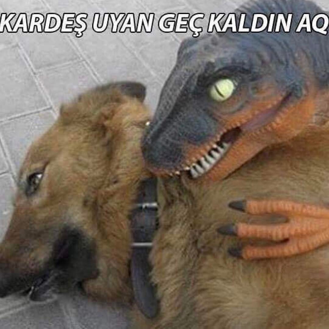 Kardeş uyan geç kaldın aq