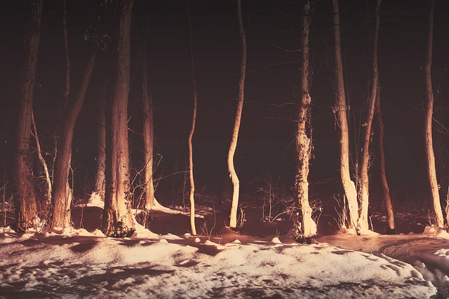eloqucet:  . by mario pucic on Flickr. 