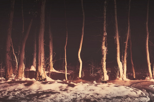 eloqucet:  . by mario pucic on Flickr. 