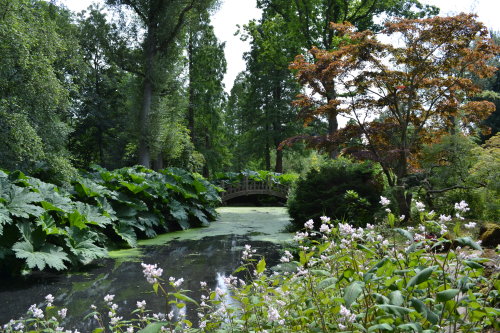 treesenpai:another photograph from my visit to winterbourne gardens