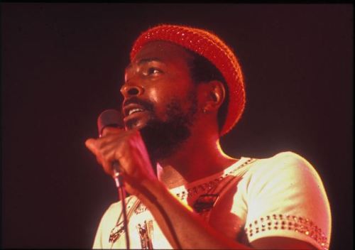 gayemarvins:Marvin performing at the Forum in Inglewood, California, May 17, 1974