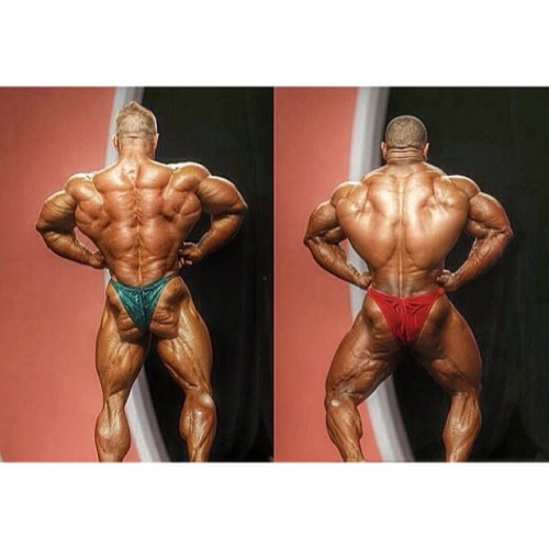 drwannabe:  Flex vs. David 