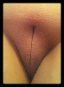 wacouple4fun:  Freshly shaved.  Care to feel?