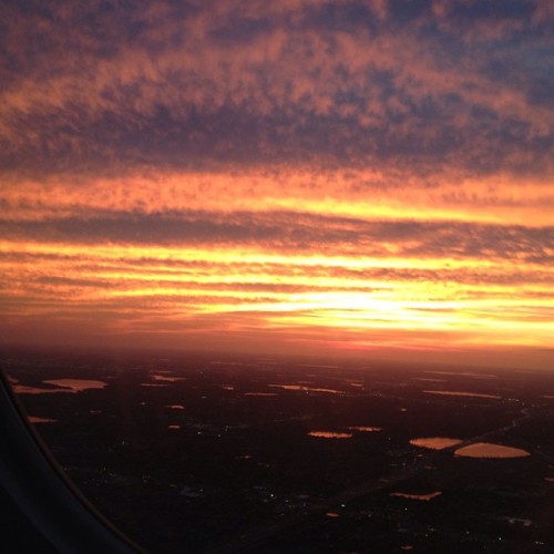 Flying into Orlando #lastnight #orlando #sunset #pretty #love #florida