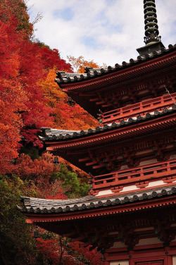 yuikki:  @Mimuroto-ji temple, Kyoto, 三室戸寺
