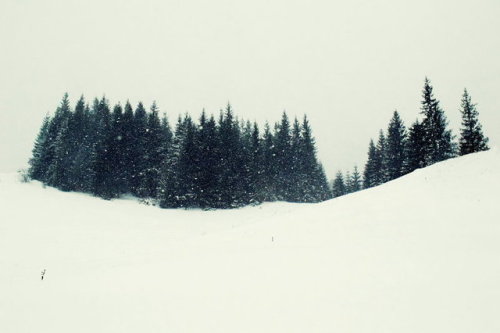 marschkhaidze:  boudhabar:   by migrena  🌲✨