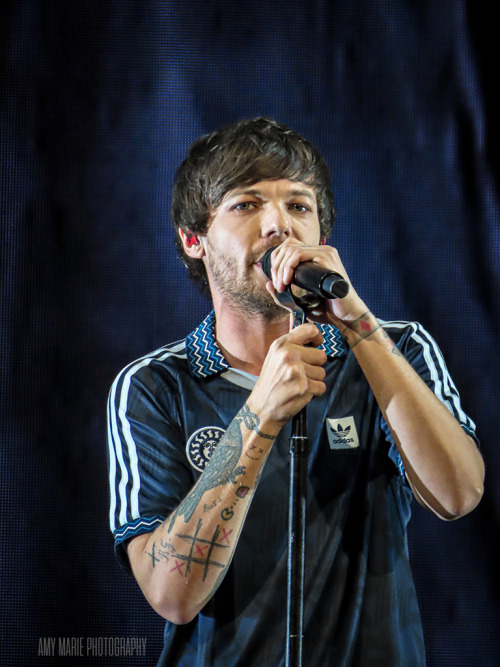 lthqs:Louis performing at Poptopia by Amy Marie