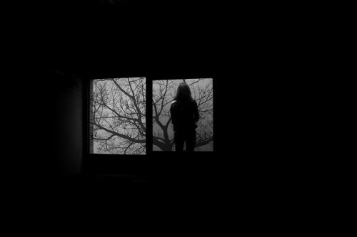 untrustyou:  wolfanddeer 