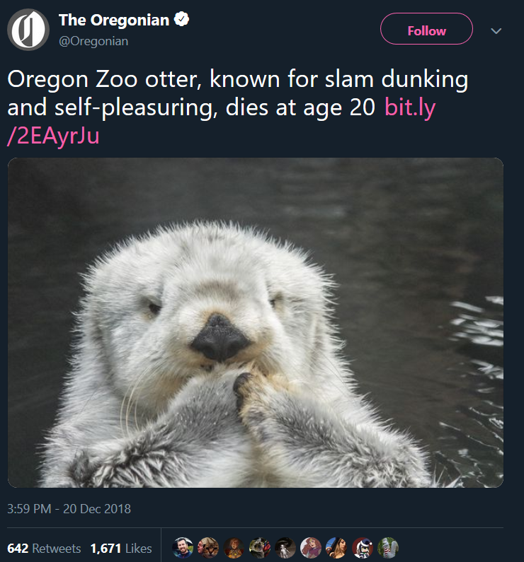kidzbopdeathgrips: paxamericana: salute  