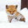 wearepjocrazy:  finalrydierheir:   wearepjocrazy:   English: I before E except for