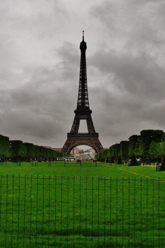 The Eiffel Tower And Notre Dame. Paris, France