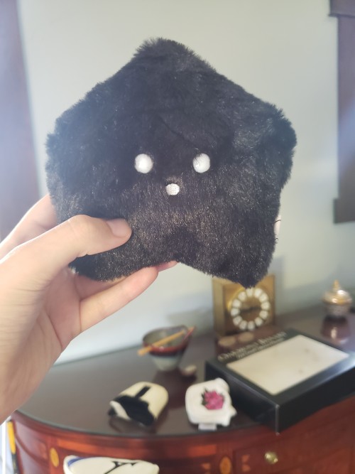 The Boi Has Arrived!