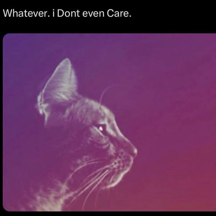 a picture of someone's hand holding a bottle of some sort with a cat in it,caption says ''soup'' da cat soup